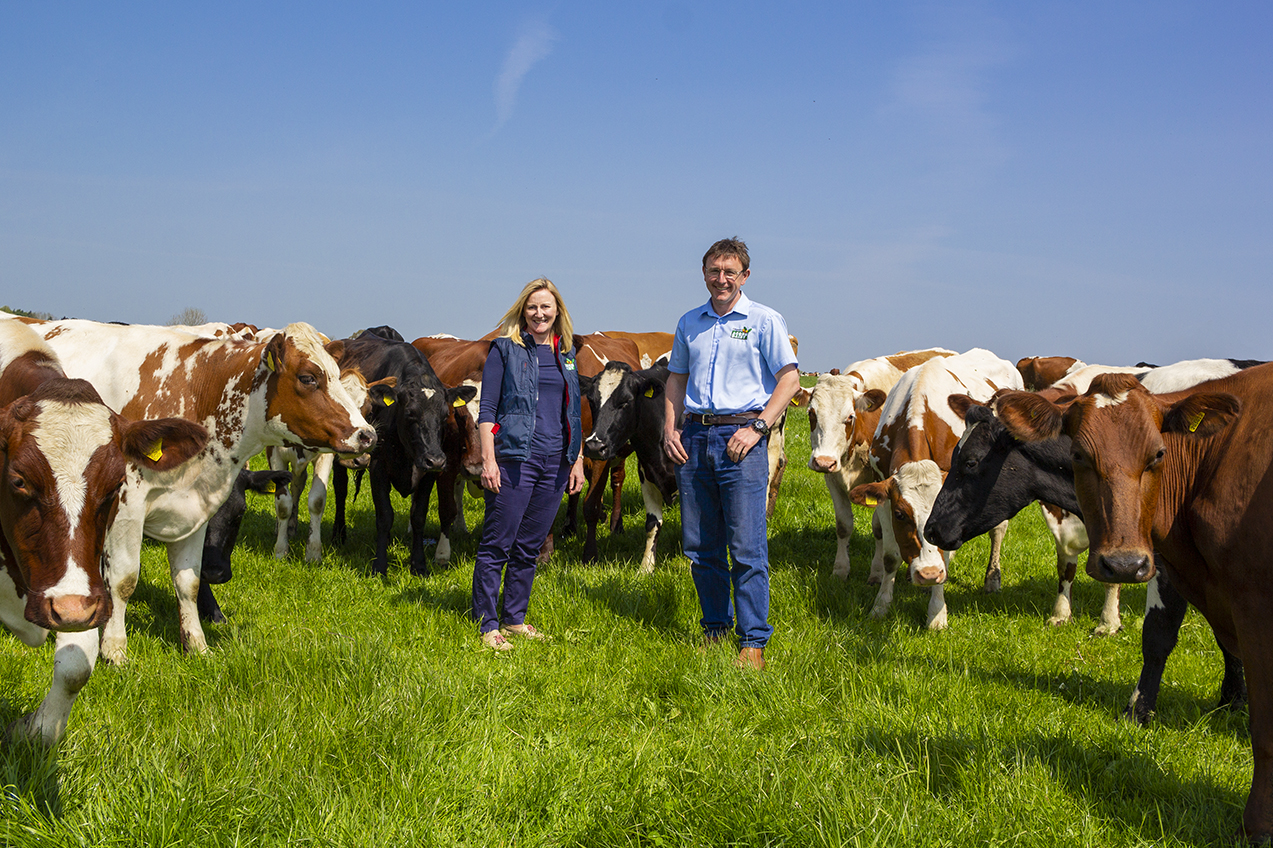 Dairy celebrates 25 years of being organic Featured Image